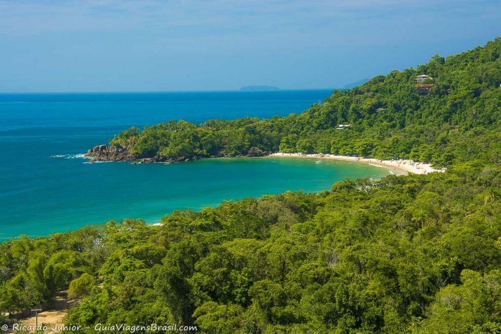 Imagem das árvores em torno de toda a Praia do Félix em Ubatuba.